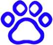 Category icon